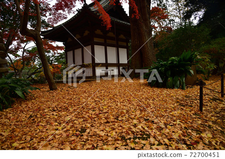 Autumn leaves Sankeien Yokohama Autumn leaves Sankeien Yokohama 72700451