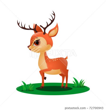 Cute little deer in the grass Cute little deer in the grass 72700943