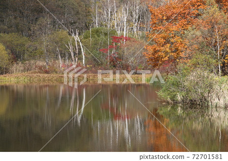 Togakure鏡面池塘,反射著變成紅色的樹木 Togakure鏡面池塘,反射著變成紅色的樹木 72701581