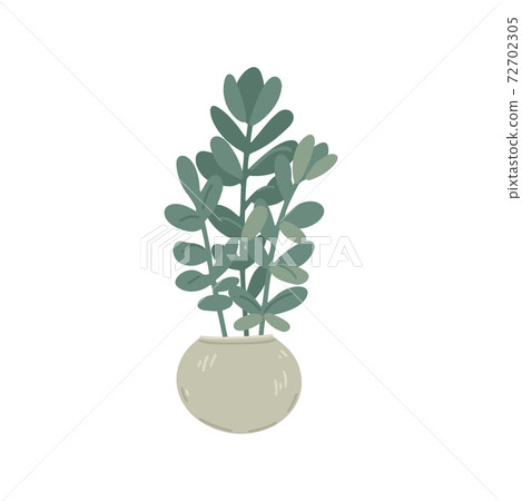 Flowerpot with a plant, indoor plants, decor element, interior design, floristry. Simple cartoon flat drawing. Vector illustration 72702305