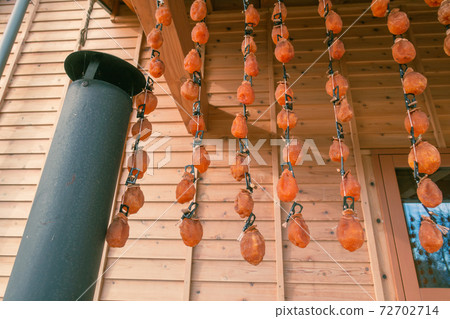 Dried persimmon [Autumn image] 72702714