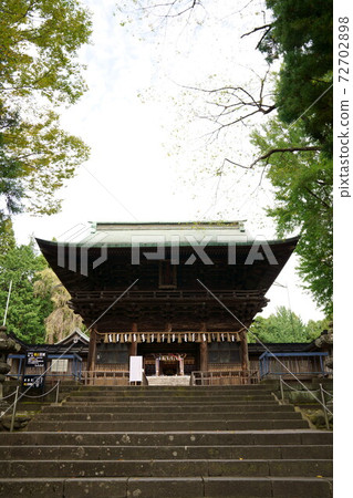 Sendai Toshogu 72702898