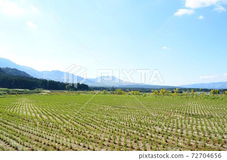 麻生的風景 麻生的風景 72704656