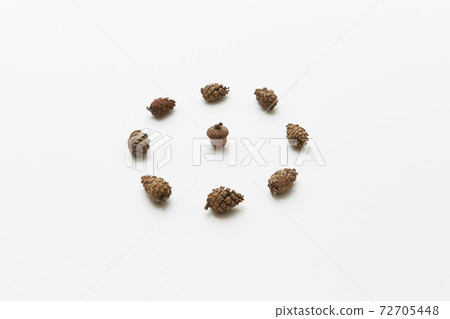 Acorn in circle of cones 72705448