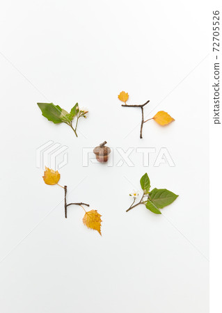 Frame with acorn and leaves Frame with acorn and leaves 72705526