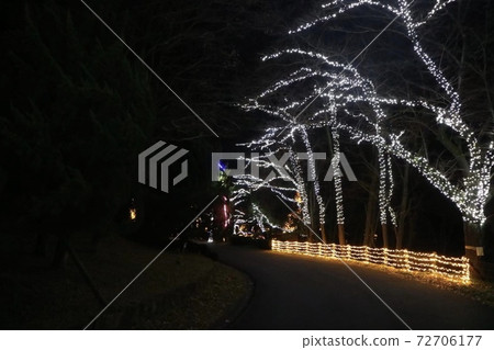 illumination illumination 72706177