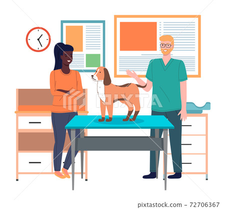 Veterinarian doctor holds dog on examination table in vet clinic. Pets health care concept 72706367