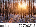 Sunset or sunrise in a birch grove with the first winter snow. Rows of birch trunks with the sun's rays passing through them. 72706818