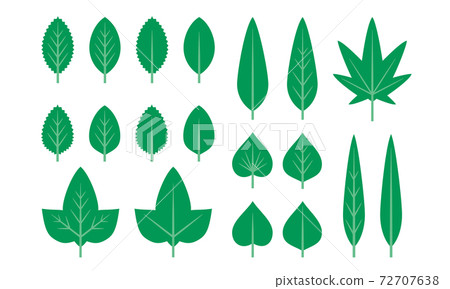 Leaf set vector material bright green 72707638