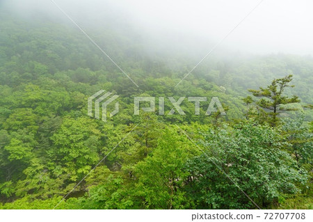 霍羅曼峽谷的某個地方 霍羅曼峽谷的某個地方 72707708