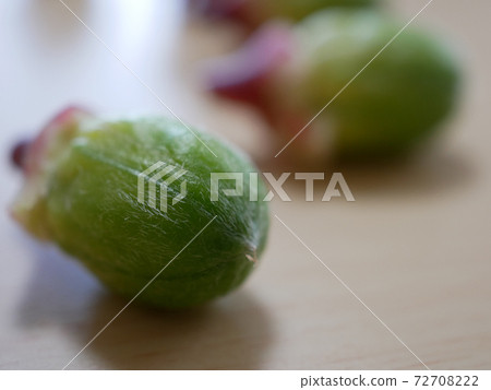 Rosel（芙蓉茶的原料）種子 72708222