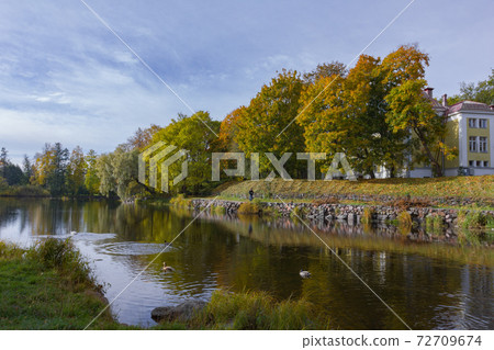 colorful trees and a river in a morning Symmetry reflections on the water. colorful trees and a river in a morning Symmetry reflections on the water. 72709674