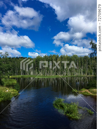 Beautiful sunny riverscape with green birch trees and cloudy blue sky  72709679