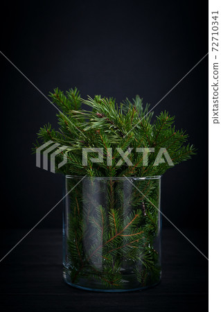 Spruce tree branches in glass, dark moody card, zero waste Christmas concept 72710341