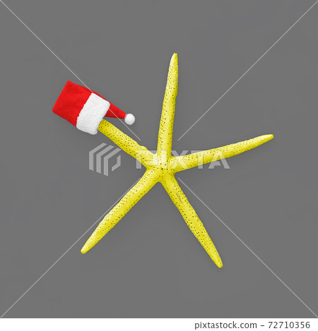 Tropical Christmas travel concept. 72710356