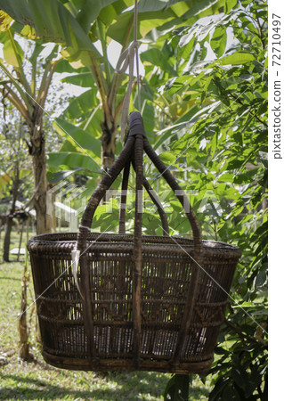Weave basket hanging in the fruit garden Weave basket hanging in the fruit garden 72710497