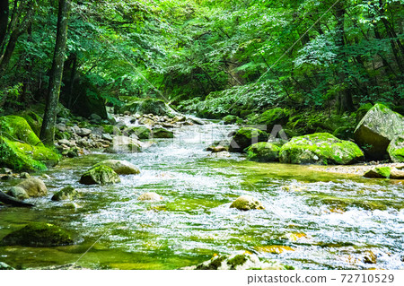 [Yamanashi Prefecture] Summer Hontani River Valley 72710529