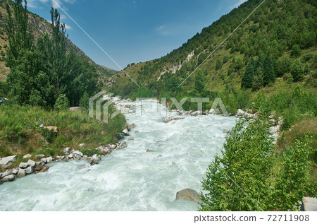 alley with river and forest alley with river and forest 72711908