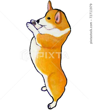 Corgi standing up on two legs - Stock Illustration [72711979] - PIXTA