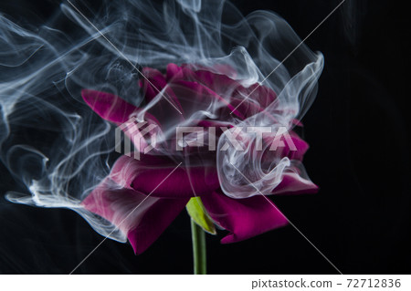 image of flower smoke dark background image of flower smoke dark background 72712836