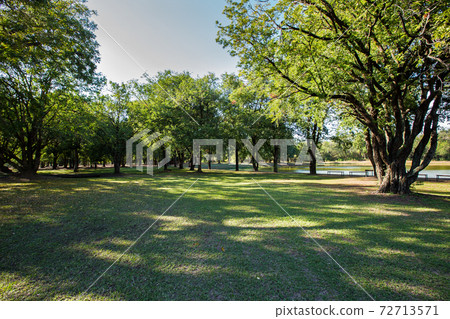 Green Park - Westminster, Front or Back Yard, Formal Garden, Ornamental Garden Green Park - Westminster, Front or Back Yard, Formal Garden, Ornamental Garden 72713571