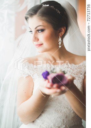 Beautiful bride wearing fashion wedding dress with feathers with luxury delight make-up and hairstyle, studio indoor photo shoot Beautiful bride wearing fashion wedding dress with feathers with luxury delight make-up and hairstyle, studio indoor photo shoot 72713736