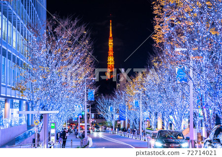 《Tokyo》 Roppongi / Winter Illuminations 72714021