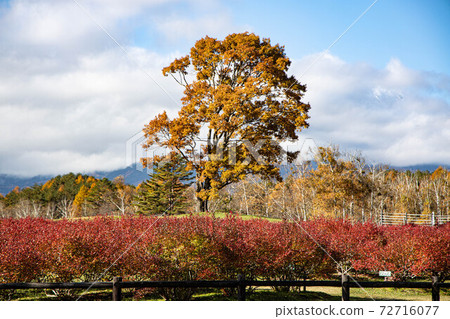 Kiso Horse Village Kiso Horse Village 72716077