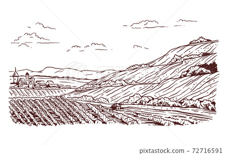 Landscape with village, agricultural farm and vineyards a vector illustration 72716591