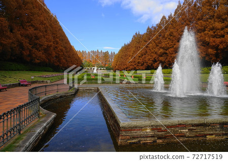 12月相模原68神奈川縣相模原公園的秋天的落葉 12月相模原68神奈川縣相模原公園的秋天的落葉 72717519