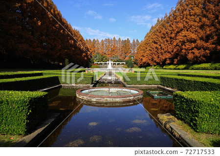12月相模原54神奈川縣相模原公園的紅葉成行 72717533