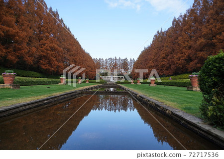 神奈川縣相模原公園12月相模原51線秋天的紅葉 神奈川縣相模原公園12月相模原51線秋天的紅葉 72717536