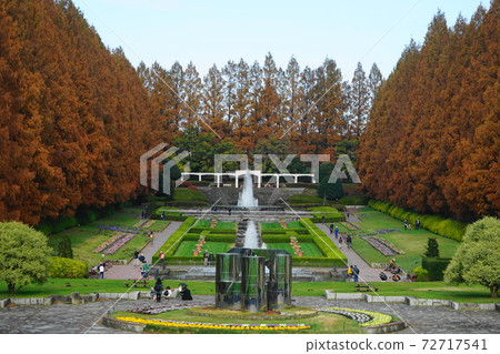神奈川縣相模原公園的相模原12月相紙屋46排紅葉 神奈川縣相模原公園的相模原12月相紙屋46排紅葉 72717541