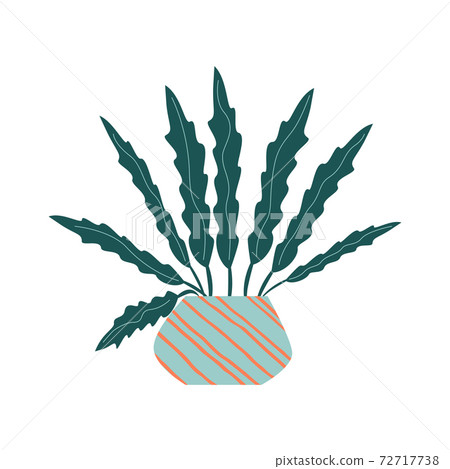 Funny cartoon flat vector house plant in pot Funny cartoon flat vector house plant in pot 72717738