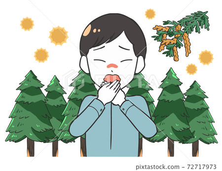 杉樹,花粉症引起的雄性擠壓 杉樹,花粉症引起的雄性擠壓 72717973