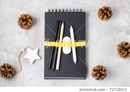 Sketchbook or notebook, pencil, eraser, pine cones 72718013