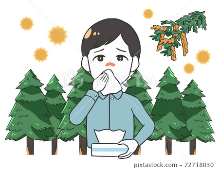 Male Sugi tree blowing his nose due to hay fever Male Sugi tree blowing his nose due to hay fever 72718030