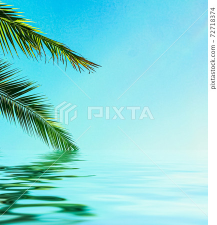 Palm tree leaves and sea water, summertime travel and beach Palm tree leaves and sea water, summertime travel and beach 72718374
