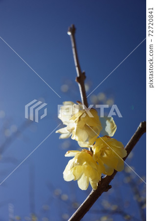 慌張 慌張 72720841