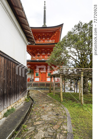 Chikubu Island Hogonji Temple Mochi no Ki and Three-storied Pagoda 72720928