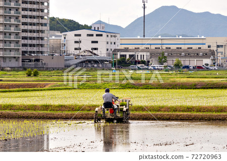 兵庫縣三田市的旅客插秧機進行水稻插秧 兵庫縣三田市的旅客插秧機進行水稻插秧 72720963