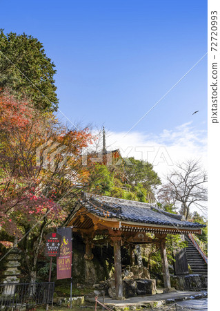竹富島厚宮寺Tesuisha和五層石塔(Shigebun) 竹富島厚宮寺Tesuisha和五層石塔(Shigebun) 72720993