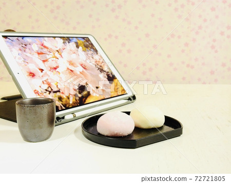 Online cherry blossom viewing image Red and white Daifuku Online cherry blossom viewing image Red and white Daifuku 72721805