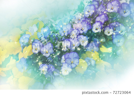 Gorgeous and fantastic pansy flowers Gorgeous and fantastic pansy flowers 72723064