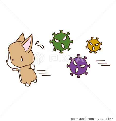 Corgi escapes from scary viruses Corgi escapes from scary viruses 72724162