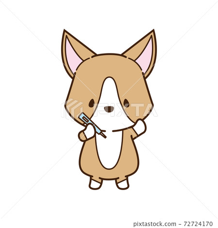 用溫度計測量溫度的柯基犬圖片 72724170