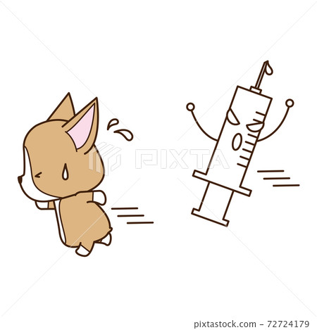 Corgi running away from a scary syringe 72724179