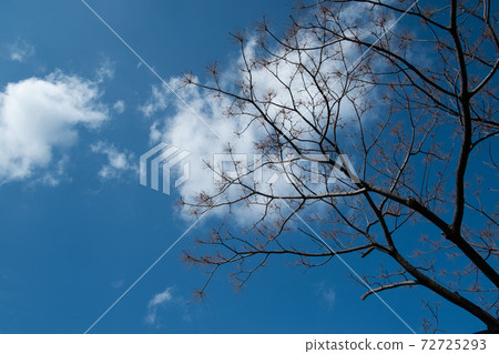 Winter sky 72725293