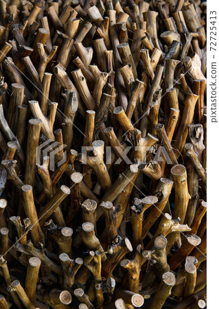 Exactly trimmed cuttings of branches without bark. Composition of wood. Exactly trimmed cuttings of branches without bark. Composition of wood. 72725413