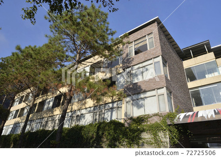 Building exterior, tree, wall Building exterior, tree, wall 72725506